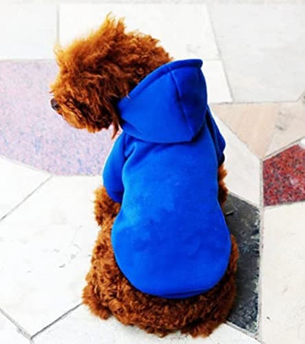 Ducomi Sweat à Capuche pour Chien 100% Coton - Manteau pour Petit, Moyen et Grand Chiens, Chihuahua, Bouledogue Français, Labrador, Pitbull et Amstaff, Pull Confortable (Bleu, 4XL)