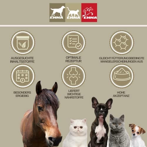 Vitamine b Complexe Cheval I Multivitamines pour Chevaux - Chevaux vitamines avec Vitamine C K B1 B2 B6 B12 Zinc Cheval I B vitamines Complexe système immunitaire VIT b Jument Poulain Nourriture 1L