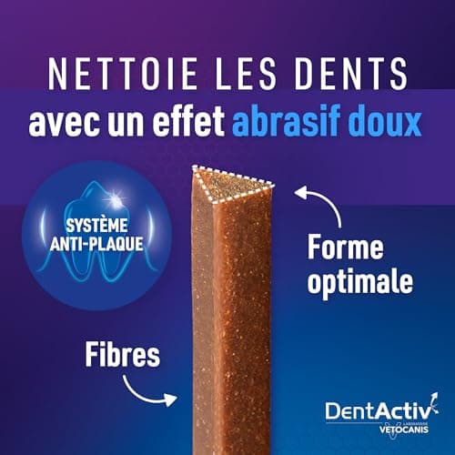 Vetocanis | Dentactiv | Stick Dentaire Chien | Friandises pour Chien Gourmandes | pour l'Hygiène et Santé du Chien | Riche en Viande | 85% de Boeuf | Recommandé par Les Vétérinaires | Chien 2 à 15 kg