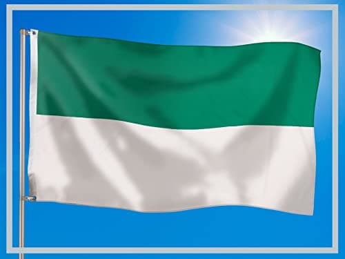 PHENO FLAGS Drapeau de la fête de tir 90x150 cm avec des œillets en laiton - Drapeau résistant aux intempéries pour fixation sur mât - 100% polyester, drapeau blanc vert