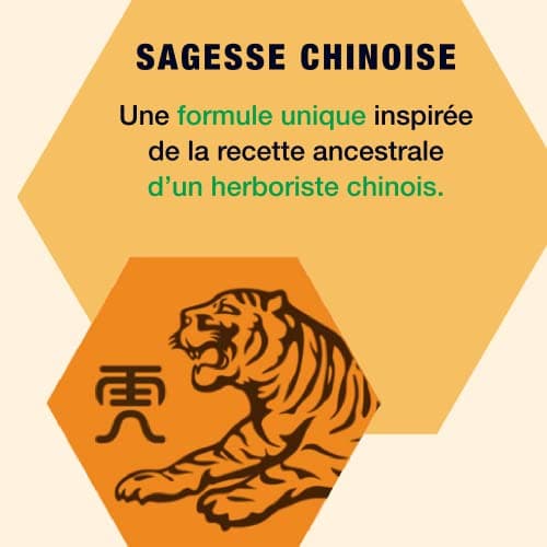 Tiger Balm - Patch BAUME DU TIGRE - Soulage les douleurs musculaires - 3 patchs + 3 feuilles ahésives