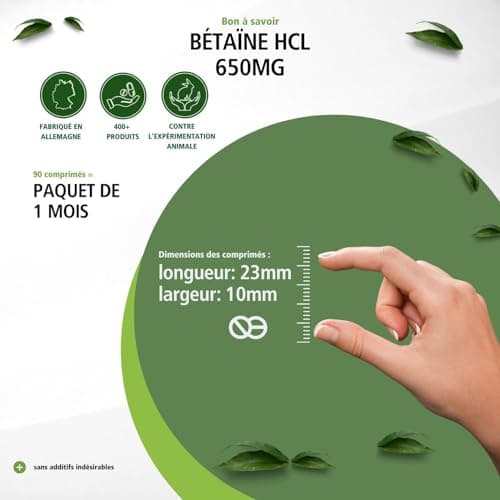 Fairvital | Betaine HCL 650mg - dose élevée - VEGAN - 120 capsules - chlorhydrate de bétaïne
