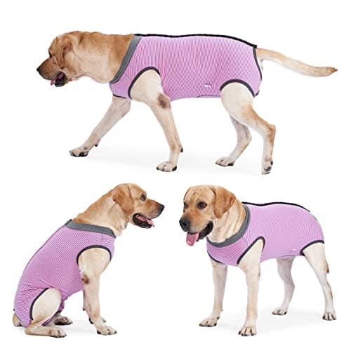 HEYWEAN Body Chien Post operatoire Femelle Combinaison Chien sterilisation Body pour Chien Castration Male Body Medical Déguisements pour Chiens alternatives aux Collerettes pour Chiens