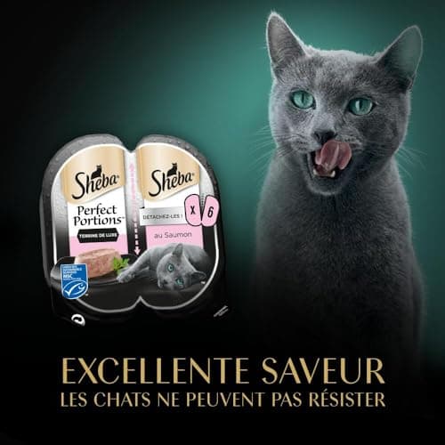 Sheba Perfect Portions pour chat adulte Barquettes Nourriture humide Terrine de luxe au saumon 6x37 LOT DE 8