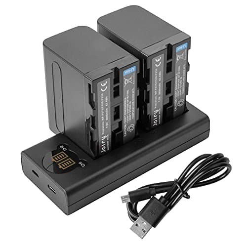 2 X NP-F970, NP-F960, NP-F930, NP-F950 Batterie de Rechange et Chargeur Double Compatible avec Sony DCR-VX2100, DSR-PD150, DSR-PD170, FDR-AX1, HDR-AX2000, HDR-FX1, HDR-FX7