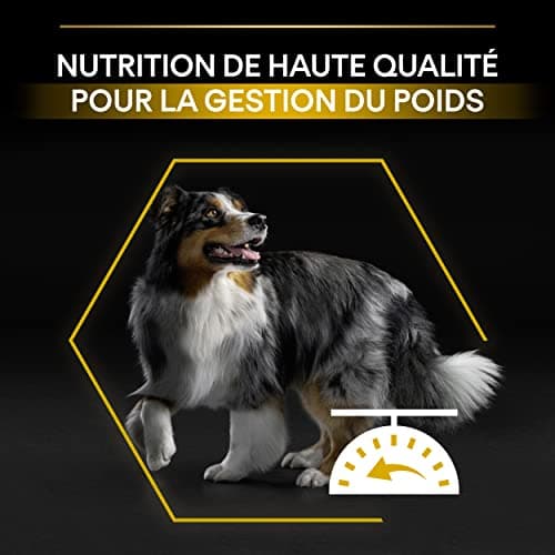 PURINA PRO PLAN | Light/Stérilisé| Chien Adulte | Toutes Tailles | Croquettes Riches en Protéines| Au Poulet| Favorise la gestion du Poids | Sac | 14KG