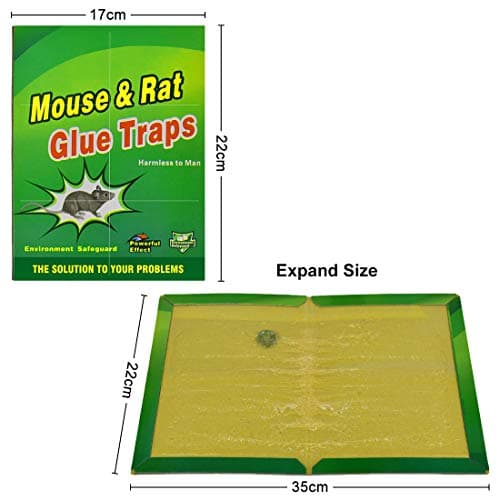 Piege a Souris Rat Colle Collant 22 Pièces Pièges à Souris Attrape Anti Souris Rat Glue Plaque Collante Piège Souris et à Rats Puissant Mouse Trap Mulot Exterieur Efficace Interieur