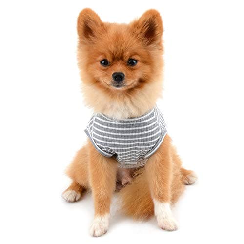 PAIDEFUL Vêtements pour Petits Chiens Garçon Fille été rayé Chiot t-Shirt Gilet Respirant Coton t-Shirt sans Manches Chihuahua Yorkshire Gris XXL