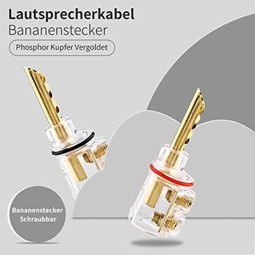 Tertullus bfa Lot de 4 fiches bananes en cuivre transparent phosphore cuivre plaqué or à visser pour câble d'enceinte jusqu'à 5,5 mm