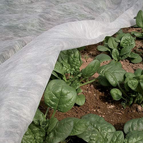TENAX Ortoclima Plus 2,40x10 m Blanc, Voile d'Hivernage pour Plantes et Cultures, en Tissu Non Tissé 30 g/m2, Protège les Plantes, Fleurs et Légumes du Froid, du Gel et du Vent