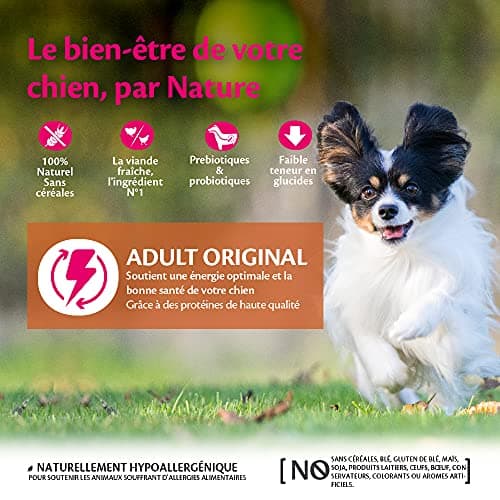 Wellness Core Original, Croquettes pour Chien de Petite Taille, Naturelles et Sans Céréales, Dinde/Poulet, 5 kg