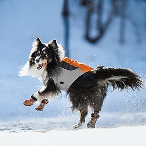TZL Manteau d'hiver pour Chien,Veste Chaude et Coupe-Vent pour Chien,Veste de Ski pour Chien avec Lumière LED,Gilet d'hiver pour Chien à Taille Ajustable,Convient pour Petit Moyen Grand Chiens