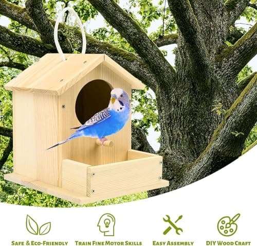 LotFancy 2 Pièce Maison D'oiseau Bricolage Kit pour Enfant, Construire Maison Oiseau en Bois Kit de Loisir Creatif Activites manuelles Maison D'oiseau Peindre Jouet