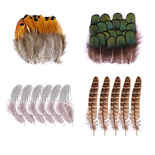 Dtoterul Plume Artificielle 220 Pièces Plumes de Faisan Plumes Artisanales Plumes De Bricolage Plumes Artisanat Plumes Plumes de Poulet Multicolores Marron Plumes Feathers pour Artisanat