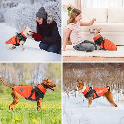 Oslueidy Manteau de Chien d'hiver, vêtements pour Animaux de Compagnie imperméables Veste de Chien Chaude Veste de Chien imperméable Sweat à Capuchon pour Animaux de Compagnie