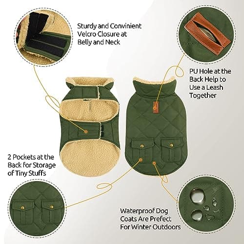 CITÉTOILE Manteau de Chien Coupe - Vent, Manteau Chien Fourré Polaire Epaiss, Manteau Veste d’Hiver Chien Chaud, Vêtement pour Chiens avec Trou de Corde de Traction, Vert, XS