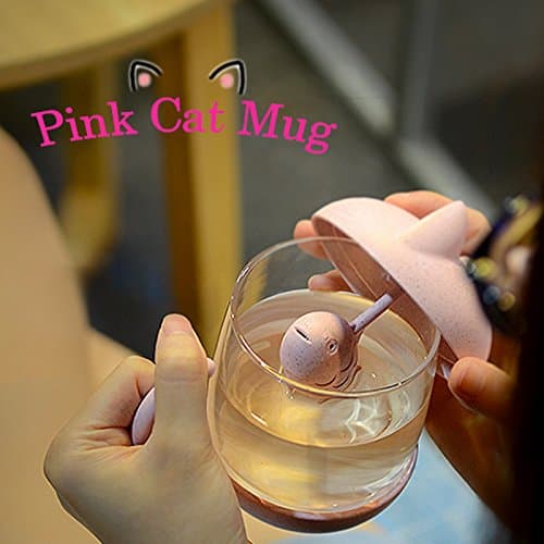 BigNoseDeer Cadeau Femme Cadeau Noel Tasse à thé en Verre de Chat Bouteille d'eau-avec Filtre de Filtre à Infusion de Pain de Poisson 250ML (8 oz) (Rose)