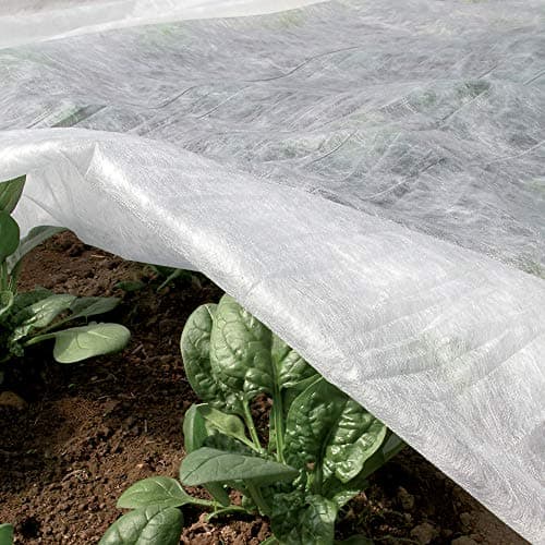TENAX Ortoclima Plus 2,40x10 m Blanc, Voile d'Hivernage pour Plantes et Cultures, en Tissu Non Tissé 30 g/m2, Protège les Plantes, Fleurs et Légumes du Froid, du Gel et du Vent