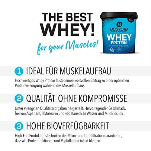 Bodylab24 Whey Protein Powder Noix de coco 1kg, pour des muscles plus forts, protéine de lactosérum peut favoriser la construction musculaire, avec 80% de protéines, sans aspartame