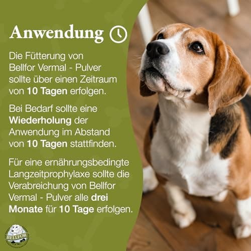 Vermifuge Naturel pour Chien Vermal de Bellfor - 80 g. Prophylaxie Contre Les Infestations de vers avec Farine de Coco et Graines de Courge, Renforce Le Système Immunitaire.