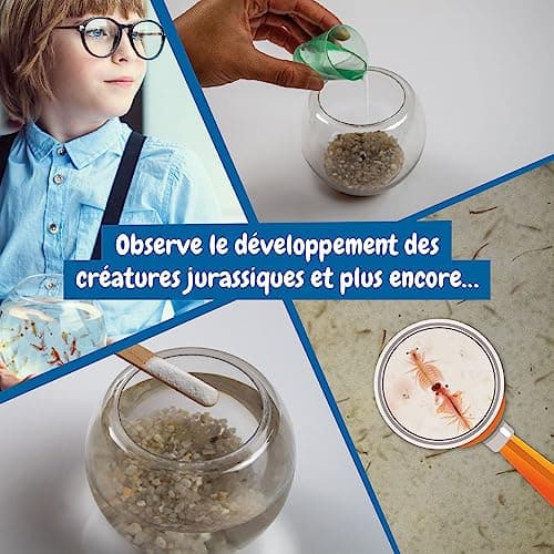 Science4you Artemia Créatures Aquatiques (Famille de Triops) Kit - Jouet Experiences scientifiques Enfants 5 6 7 8+ Ans - Créer Un écosystème pour Les Dragons d'eau Animaux Marins avec Petit Aquarium
