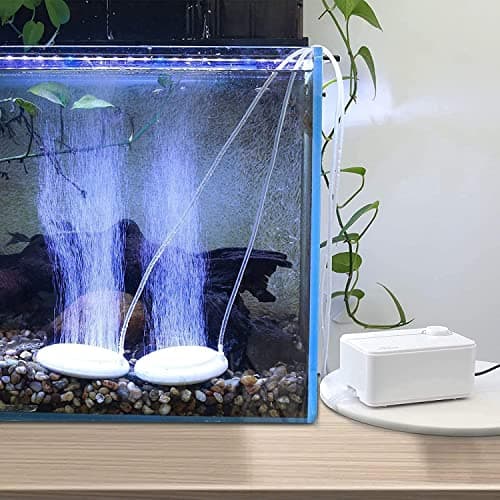 boxtech Pompe à air Ultra silencieuse pour Aquarium, la Pompe à air Peut répondre aux Trois exigences, silencieuse, Faible Vibration et suffisamment d'oxygène