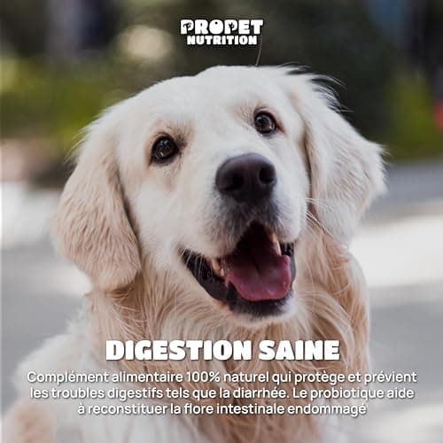 Probiotique Chien et Chat + Prebiotique + Vitamines. 11 Souches Bio-Actives. 10 Milliards UFC. Améliore la Digestion. 120 Comprimés. Anti-Flatulence, Immunité. Digestic. CE. Propet Nutrition