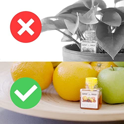 Super Ninja Piege a Moucherons – 2 Pièges - Pièges écologiques très efficaces pour Les Mouches à Fruits à l'intérieur – jusqu'à 3 semaines par Bouteille (2 Pièges)