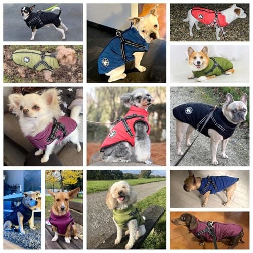 Manteau d'hiver Imperméable pour Chien Chaud avec Harnais, Veste de Chien Imperméable pour Petit Moyen Grands Chiens, Conception de Bandes Réfléchissantes lavables en Machine Anneau en D Durable