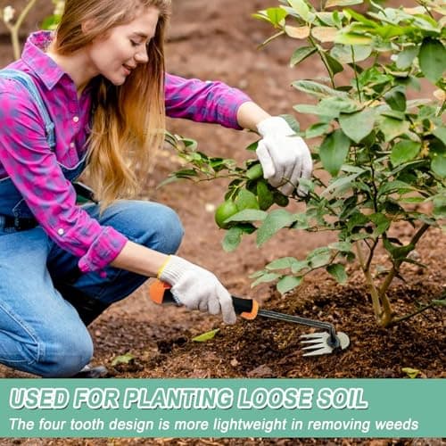 Arrache mauvaise herbes jardinage, outil de désherbage manuel, désherbage en acier inoxydable, désherbeur manuel, inoxydable extracteur de mauvaises herbes extérieur décoration pour jardin