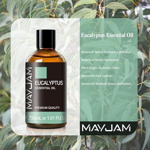 MAYJAM Huile Essentielle de Eucalyptus 30ML de Haute Qualité pour Diffuseur, Humidificateur, DIY, Home, Wardrobes