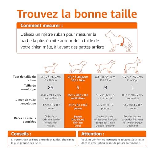 Amazon Basics Lot de 30 Couches jetables pour Chien mâle, Taille S, Blanc
