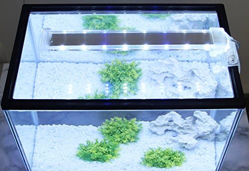 BPS Lampe d'aquarium LED submersible pour plantes lumière blanche et bleue 8W