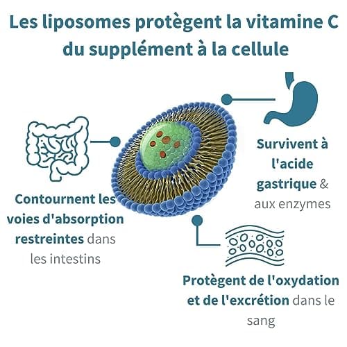 Vitamine C Liposomale 1000 mg Liquide avec Zinc, Cuivre et Sélénium - Système Immunitaire & Réduction de la Fatigue - Goût d'agrumes et vanille, Adultes et Enfants, 30 – 90 portions