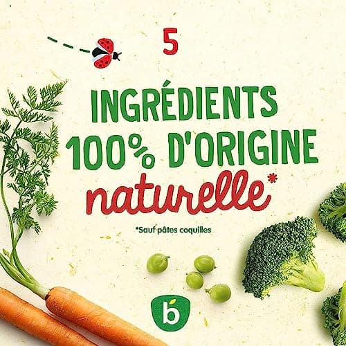 Blédina - Mes Moulinés - Repas bébé – 16 bols avec 4 Recettes inspirées du Fait Maison - Dès 8 Mois - Sans sel ajouté – 16x200g