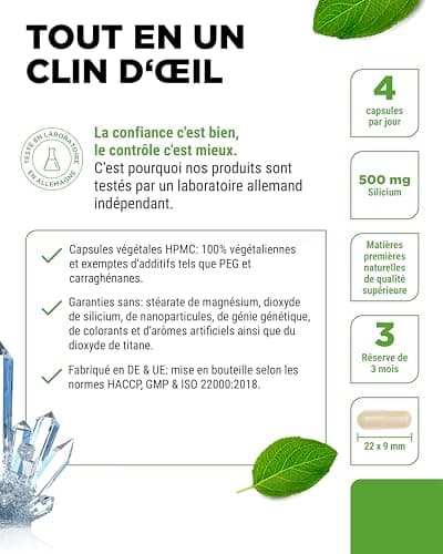 Silicium - 365 Gélules avec 500 mg de Silicium Organique par Jour - Premium : Extrait Naturel de Bambou - Haute Dose - Vegan