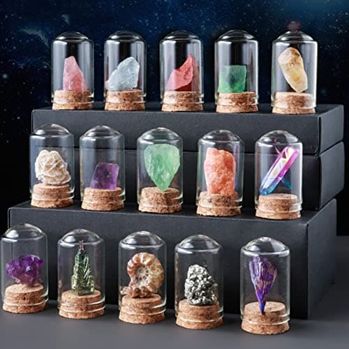 Tuzsocr Mini Pierre Précieuse Naturelle,25 PCS Ensemble de Cristaux de Guérison,Cristaux de Collection Rock and Mineral,Polies Relief,Boîte de Rangement Incluse-Jeu Scientifique et éducatif