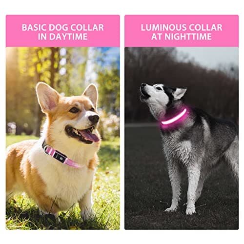 PcEoTllar Collier Lumineux Chien, Collier Chien LED Rechargeable et Etanche Clignotant, Collier Chien Fluorescent avec 7 Couleurs, Sécurité avec Réglable pour Petits Moyens Gros Chiens, Rose-M