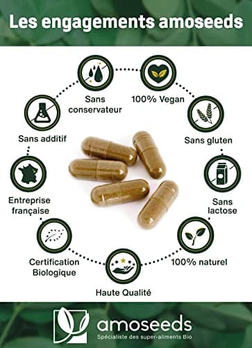 Moringa Oleifera BIO | Extra Fort, 10 000mg par jour | 100% Naturel et Pur | 90 Gélules vegan de 400mg | Qualité Supérieure