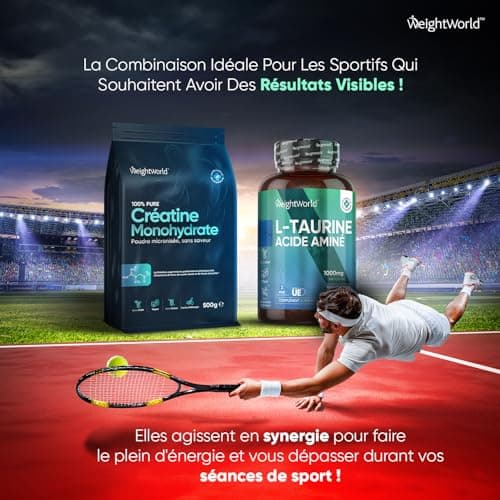 Créatine Monohydrate en Poudre 500g - Créatine Monohydrate Micronisée 165 Portions