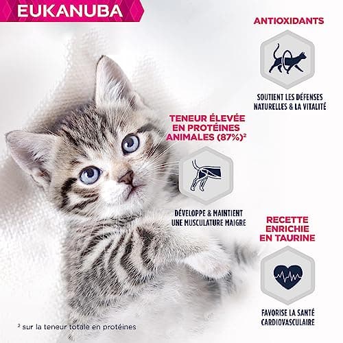 EUKANUBA Grain Free Croquettes pour Chaton - Riche en saumon - Apport en DHA, Sans OGM, colorants, arômes artificiels - 10 kg