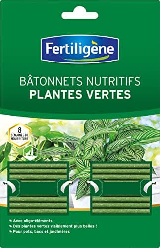 Fertiligène FBPV - Engrais Bâtonnets Nutritifs x 40 - Pour des plantes plus vertes - Formule avec oligo-éléments - Jusqu'à 8 semaines de nourriture - en pots et jardinières