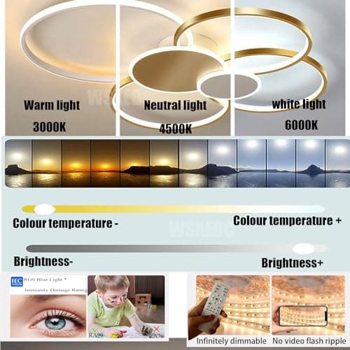 WSXEDC Noir or Gradable LED 6 Ring Salon Plafonnier LED moderne L80cm 71W créatif Éclairage de plafond intérieur Fleur pour les soins des yeux Pour chambre à coucher Bureau Salle à manger