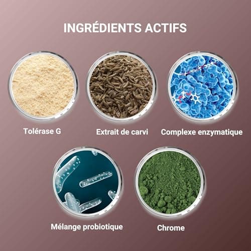 NIRUVITA | Sans gluten | Complément alimentaire | Optimise la digestion et améliore l'absorption des nutriments |Avec enzymes, probiotiques, carvi et chrome | Flore intestinale équilibrée | 60 Gélules