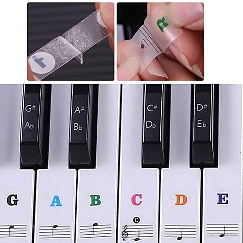 Autocollants Notes De Piano,Autocollants Colorés de Clavier de Piano Stickers pour for 88/61/54/49/37 touches Piano et Clavier Notes de Musique Transparent et Amovible pour Enfants et Débutants