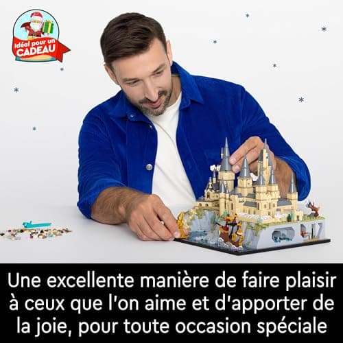 LEGO Harry Potter Le Château et Le Domaine de Poudlard, Grande Maquette à Construire pour Adultes, Incluant Les Lieux Iconiques : Tour d'Astronomie, Grande Salle, Chambre des Secrets et Autres 76419