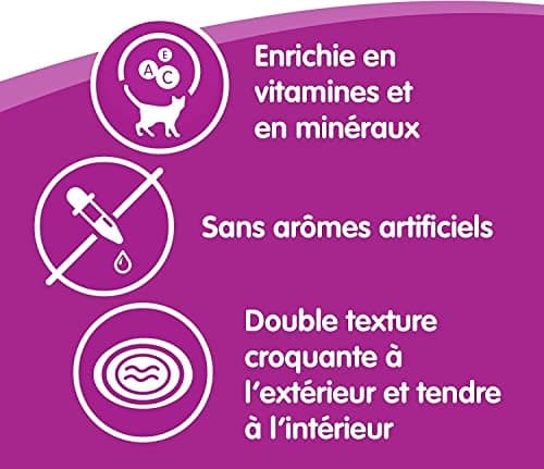 WHISKAS LES IRRÉSISTIBLES – Friandises au boeuf pour chat adulte, croquantes à l'extérieur et tendres à l'intérieur – 8 boîtes de 60g - l'emballage peut varier
