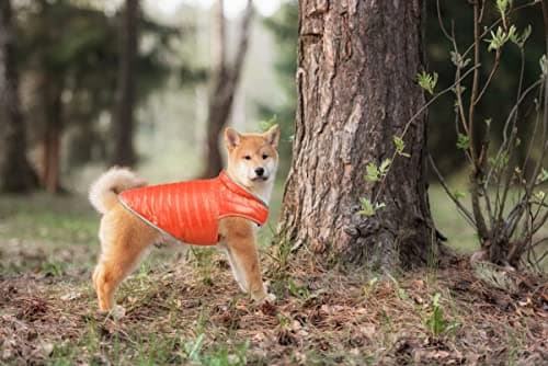 Oslueidy Manteau de Chien réversible, Veste de Chien d'hiver Chaud Gilet de Chiot étanche Vêtements pour Animaux de Compagnie pour Animaux de Compagnie pour Petits Chiens de Grande Taille Moyenne