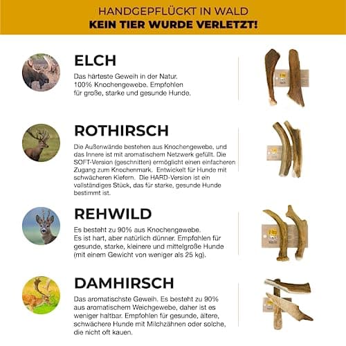 RF - Deer Bois de Cerf élaphe S (Lot de 5), Soft, 100% Naturel Bâtonnets Jouets à mâcher naturels pour Chien, Mâcher des os pour Le Plaisir et Les Soins dentaires, favorisant l'hygiène Dentaire