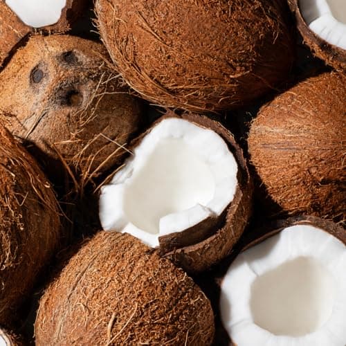 Ecodenta Bain de Bouche Antibactérien - Bain de Bouche sans Fluor - Bain de Bouche à la Noix de Coco Certifié Bio Sans Alcool Lutte Contre la Mauvaise Haleine 500 ml